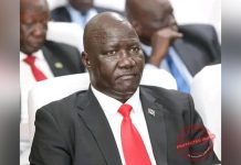 Mawich Elected NEL-COM Chairman Before Nile Day Celebration Mawich Elected NEL-COM Chairman Before Nile Day Celebration