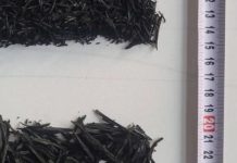 Scientists Develop New Tire Recycling Method for Concrete Scientists Develop New Tire Recycling Method for Concrete