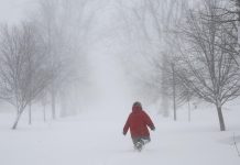 Scientists Discover Clockwork Gears of Mood Scientists Discover Clockwork Gears of Mood