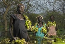 Worsening Hunger Crisis in Leer County Leaves Families Hungry Worsening Hunger Crisis in Leer County Leaves Families Hungry