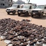 Vehicles Seized with Bush Meat on Juba-Bor Highway Vehicles Seized with Bush Meat on Juba-Bor Highway