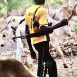 24 killed, 34 injured in night raid at cattle camp in Gogrial East 24 killed, 34 injured in night raid at cattle camp in Gogrial East