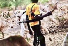 24 killed, 34 injured in night raid at cattle camp in Gogrial East 24 killed, 34 injured in night raid at cattle camp in Gogrial East