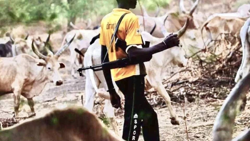 24 killed, 34 injured in night raid at cattle camp in Gogrial East 24 killed, 34 injured in night raid at cattle camp in Gogrial East