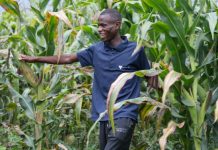 Soil Is Africa’s Hidden Growth Asset Soil Is Africa’s Hidden Growth Asset