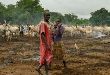 Cattle Raid Kills 14 Near Juba Cattle Raid Kills 14 Near Juba