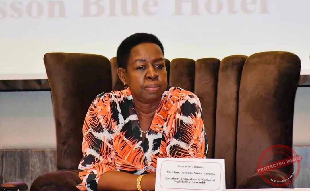 Jemma Nunu Kumba Speaks After Removal as Speaker Jemma Nunu Kumba Speaks After Removal as Speaker