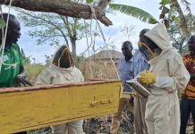 GIZ Supports Beekeepers With Modern Hives in Yei Magwi GIZ Supports Beekeepers With Modern Hives in Yei Magwi