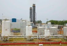 Nilepet Settles $120M Debt as Gulf Petroleum Pursues Stake Nilepet Settles $120M Debt as Gulf Petroleum Pursues Stake