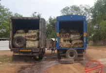 National Authorities Act to Curb Fish Livestock Smuggling National Authorities Act to Curb Fish Livestock Smuggling