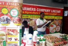 Parliament Considers Bill to Support Women Entrepreneurs Parliament Considers Bill to Support Women Entrepreneurs