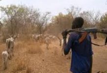 Lainya County Dialogues With Cattle Herders Ahead Farming Lainya County Dialogues With Cattle Herders Ahead Farming