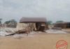 Renewed Violence in Tonj East Leaves 47 Dead Renewed Violence in Tonj East Leaves 47 Dead