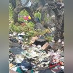 CityLink Pledges Cooperation in Plane Crash Investigation CityLink Pledges Cooperation in Plane Crash Investigation