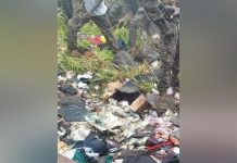 CityLink Pledges Cooperation in Plane Crash Investigation CityLink Pledges Cooperation in Plane Crash Investigation