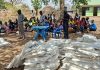 GIZ Enhances Food Security in Yei and Magwi GIZ Enhances Food Security in Yei and Magwi
