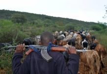 South Sudan: 49 Killed in Cattle Camp Attack South Sudan: 49 Killed in Cattle Camp Attack