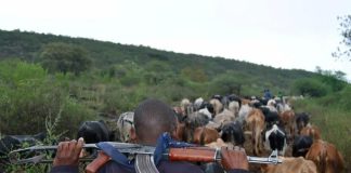 South Sudan: 49 Killed in Cattle Camp Attack South Sudan: 49 Killed in Cattle Camp Attack