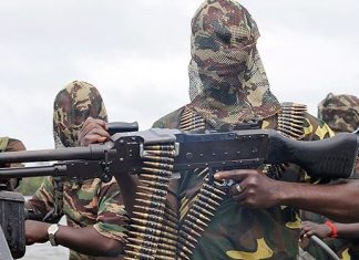 دعوات للتقصي بشأن دخول عناصر من ”بوكو حرام“ إلى السودان