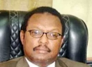 خالد التيجاني : حل قضية الديون العالقة تختبر جدية المجتمع الدولي خالد التيجاني