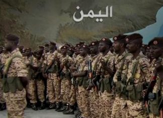 ماذا قال الناطق باسم الجيش بشأن الحرب في اليمن ؟