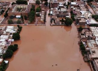 ايرلندا توفر دعما للبلاد وتشيد بالكوادر السودانية ايرلندا توفر دعما للبلاد وتشيد بالكوادر السودانية