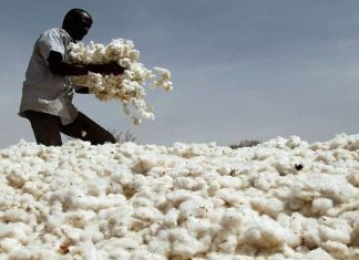 مجلس شركة السودان للاقطان يرفع اللوائح والضوابط المنظمة لأعماله مجلس شركة السودان للاقطان يرفع اللوائح والضوابط المنظمة لأعماله