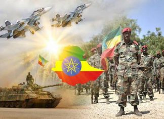 قوات إثيوبية على الحدود مع السودان واستعدادات لـ”حملة أخيرة” في تيغراي قوات إثيوبية على الحدود مع السودان واستعدادات لـ”حملة أخيرة” في تيغراي