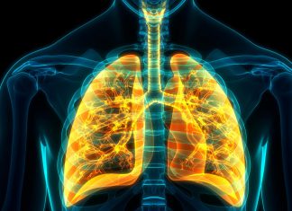 دراسة حديثة ترصد ضررا في الرئة يطول أمده بعد الإصابة بفيروس كورونا دراسة حديثة ترصد ضررا في الرئة يطول أمده بعد الإصابة بفيروس كورونا