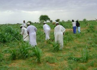 تفاقم أزمة الري و مزارعون يطالبون بتدخل الدولة تفاقم أزمة الري و مزارعون يطالبون بتدخل الدولة