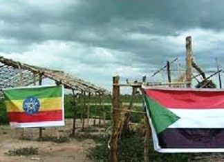 الفشقة..دعوة جديدة لإخلاء الأراضي السودانية من أيّ احتلالٍ أجنبي الفشقة..دعوة جديدة لإخلاء الأراضي السودانية من أيّ احتلالٍ أجنبي