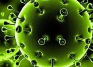 الولاية الشمالية تسجل (7) حالات “كورونا” جديدة الولاية الشمالية تسجل (7) حالات “كورونا” جديدة