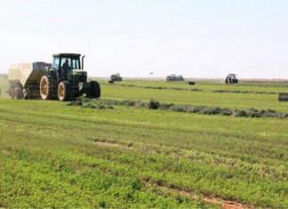 الأوقاف : تدابير لاسترداد 9.8 ألف فدان أوقاف بمشروع الجزيرة الأوقاف : تدابير لاسترداد 9.8 ألف فدان أوقاف بمشروع الجزيرة