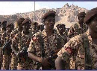 تاور : انتصارات القوات المسلحة على الحدود إنجاز كبير تاور : انتصارات القوات المسلحة على الحدود إنجاز كبير