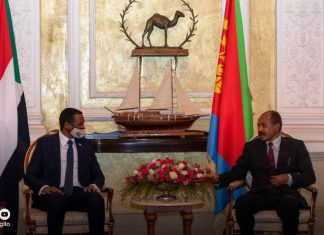 “حميدتي” يعود إلى الخرطوم قادماً من إريتريا “حميدتي” يعود إلى الخرطوم قادماً من إريتريا