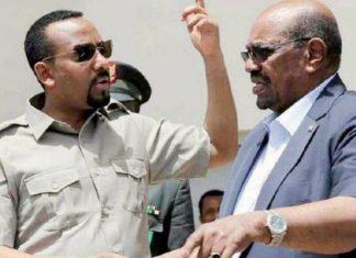 الفكي : التعديات الاثيوبية بدأت بملابسات سياسية من النظام البائد الفكي : التعديات الاثيوبية بدأت بملابسات سياسية من النظام البائد