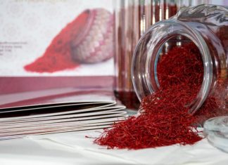 الأولى في قطر.. زراعة الزعفران تتحدى المناخ وتجني قطفتها البكر الأولى في قطر.. زراعة الزعفران تتحدى المناخ وتجني قطفتها البكر