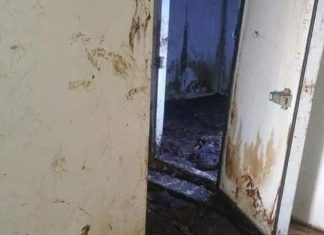 تكليف مدير جديد لمشرحة ود مدني تكليف مدير جديد لمشرحة ود مدني