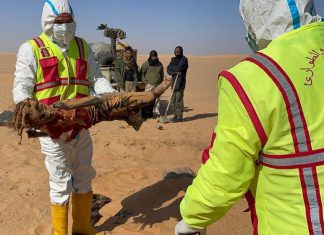ماتوا عطشاً .. العثور على (8) جثث جديدة لسودانيين في الصحراء الليبية ماتوا عطشاً .. العثور على (8) جثث جديدة لسودانيين في الصحراء الليبية
