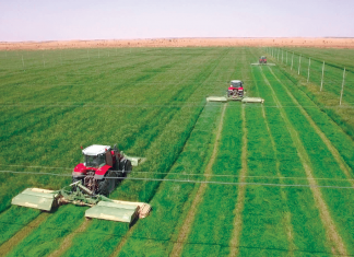 هل يعود السودان سلة غذاء العالم؟