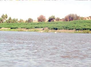 قيادي محلي: تكرار غرق العبارات في حلفا بسبب إهمال تشييد الجسر