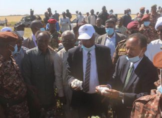 تدشين عمليات حصاد محصول القمح بالجزيرة تدشين عمليات حصاد محصول القمح بالجزيرة