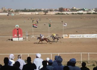 نادي سباق الخيل بالخرطوم ينظم سباقه العاشر بعدغدالجمعة نادي سباق الخيل بالخرطوم ينظم سباقه العاشر بعدغدالجمعة