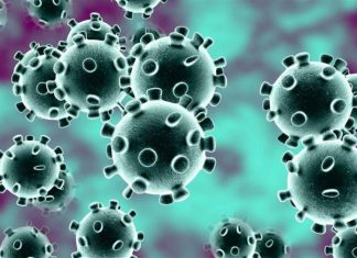 إصابتان موجبه بكورونا وتعافي حالة واحدة بولاية الجزيرة إصابتان موجبه بكورونا وتعافي حالة واحدة بولاية الجزيرة