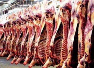 الاردن يستأنف استيراد اللحوم من السودان الاردن يستأنف استيراد اللحوم من السودان