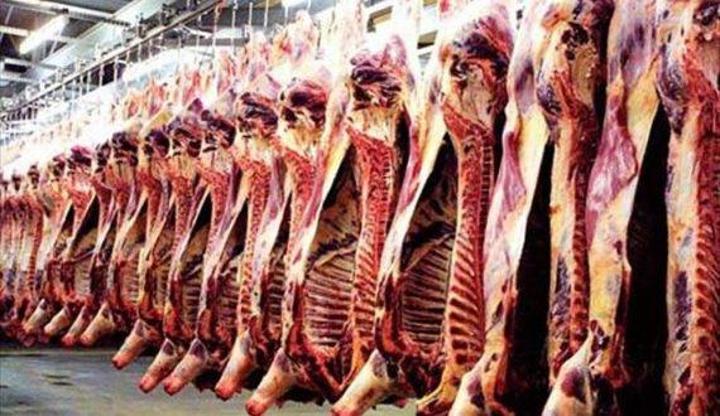الاردن يستأنف استيراد اللحوم من السودان الاردن يستأنف استيراد اللحوم من السودان