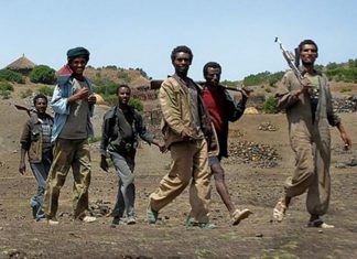 مصادر عسكرية: القبض على قائد ميليشيا إثيوبية في الفشقة مصادر عسكرية: القبض على قائد ميليشيا إثيوبية في الفشقة