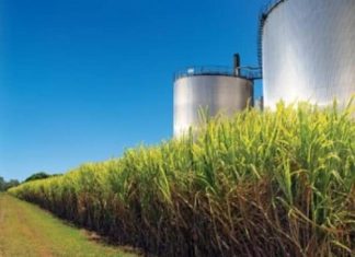 توقُّعات بإنتاج 40 ألف طن سُكّر من مصنع الجنيد توقُّعات بإنتاج 40 ألف طن سُكّر من مصنع الجنيد