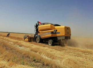 حربي يدشن حصاد القمح بمشروع حلفا الجديدة الزراعي حربي يدشن حصاد القمح بمشروع حلفا الجديدة الزراعي
