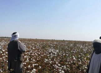 مزارعو الجزيرة يطالبون بمحاسبة من تسبب في دمار المشروع مزارعو الجزيرة يطالبون بمحاسبة من تسبب في دمار المشروع